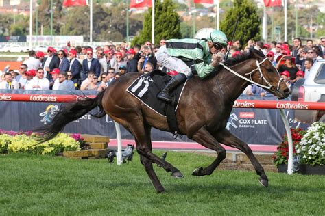 ladbrokes moonee valley